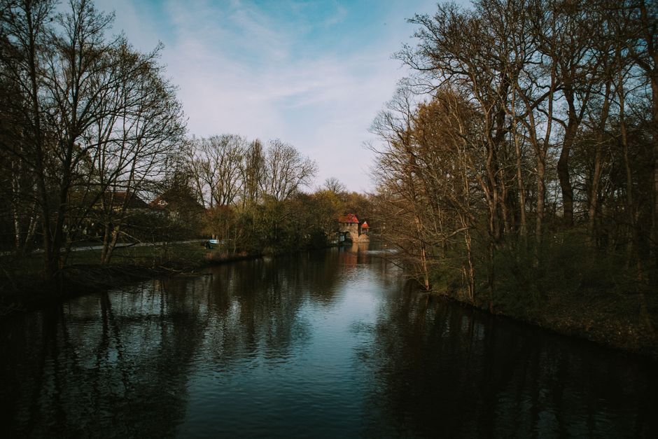 Tranquil riverside scenery in Leipzig, featuring lush trees and reflective water under a clear sky.